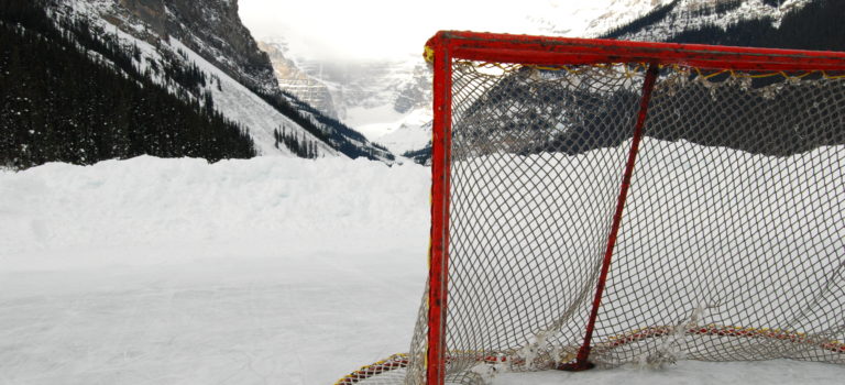 Hello hockey world! Hockey net